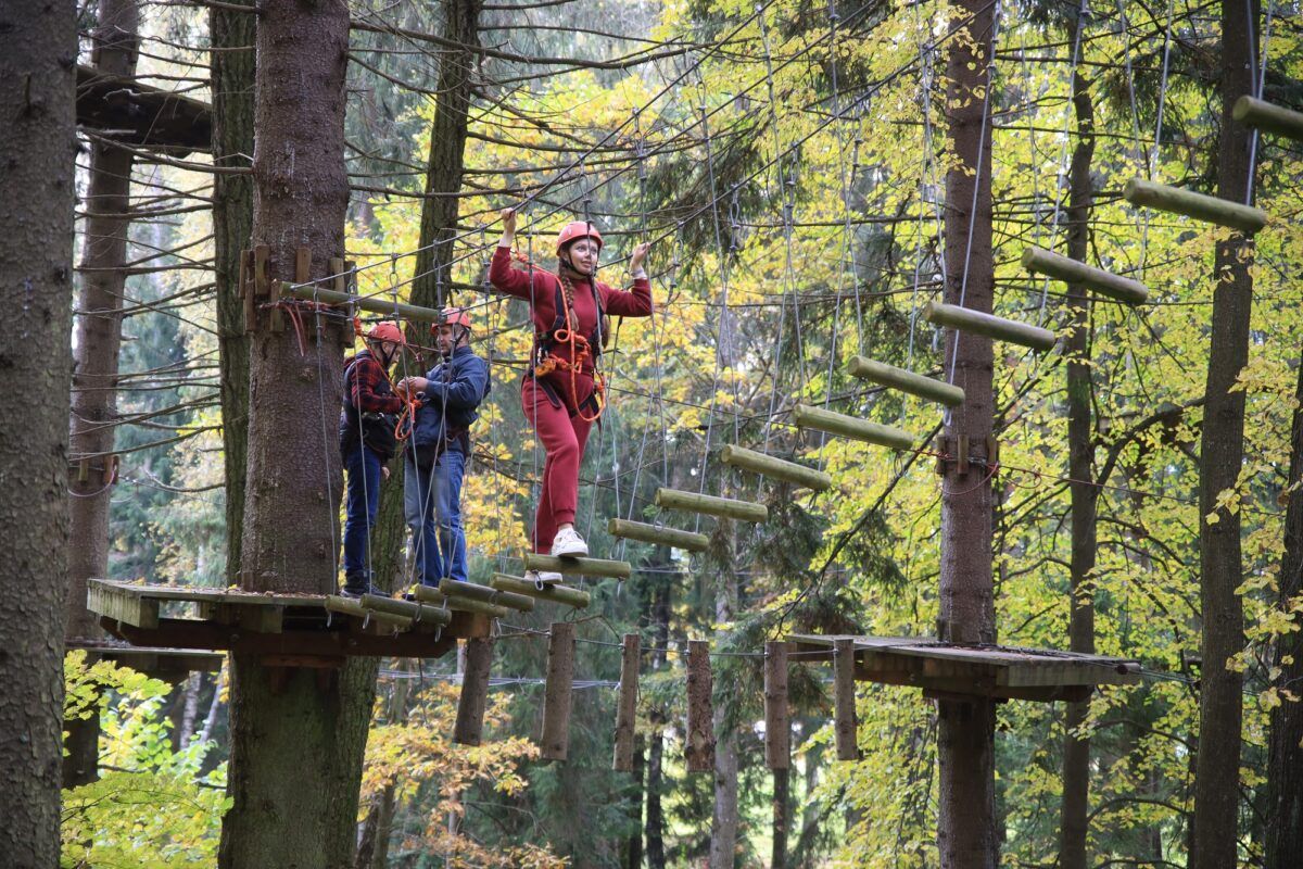 G12A8519