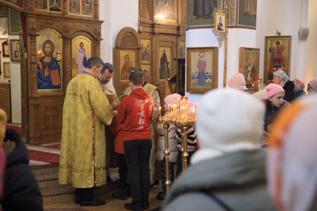 G12A7460